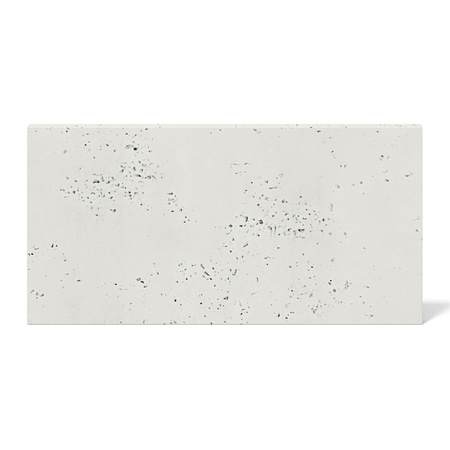 Płyta betonowa na ścianę 2D PA01 600x300x10, zgaszona biel B0, beton architektoniczny