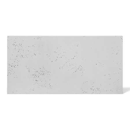 Płyta betonowa na ścianę 2D PA04 900x450x10, jasnoszary S50, beton architektoniczny