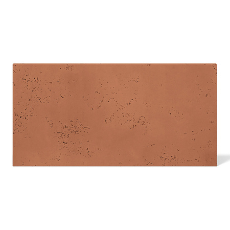 Płyta betonowa na ścianę 2D PA04 900x450x10, terakota CL01, beton architektoniczny