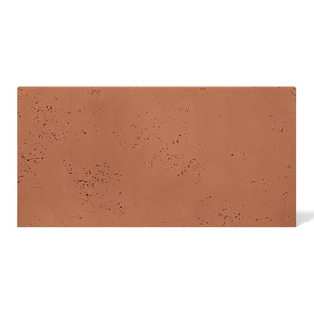 Płyta betonowa na ścianę 2D PA04 900x450x10, terakota CL01, beton architektoniczny