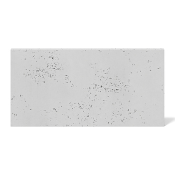 Płyta betonowa na ścianę 2D PA01 600x300x10, jasnoszary S50, beton architektoniczny