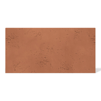 Płyta betonowa na ścianę 2D PA06 1000x500x10, terakota CL01, beton architektoniczny
