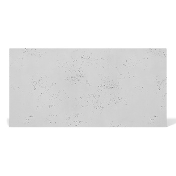 Płyta betonowa na ścianę 2D PA09 1200x600x10, jasnoszary S50, beton architektoniczny