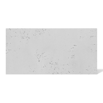 Płyta betonowa na ścianę 2D PA15 800x400x10, jasnoszary S50, beton architektoniczny