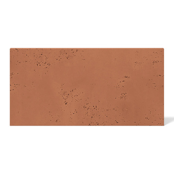 Płyta betonowa na ścianę 2D PA15 800x400x10, terakota CL01, beton architektoniczny