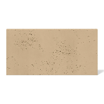Płyta betonowa na ścianę 2D PA01 600x300x10, miodowy CL03, beton architektoniczny